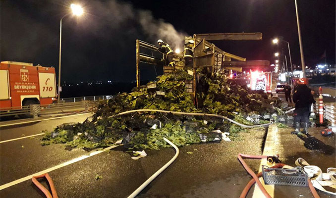 Osmangazi Köprüsü'nde asma yaprağı yüklü kamyon yandı
