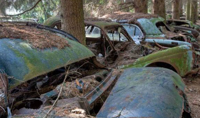 Ormandaki araba mezarlığının sırrı